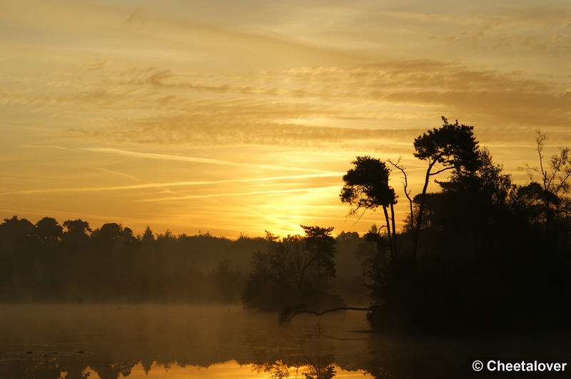 _DSC0039.JPG - Zonsopkomst aan de Oisterwijkse Vennen 'het Groot Goorven' 24 september 2011