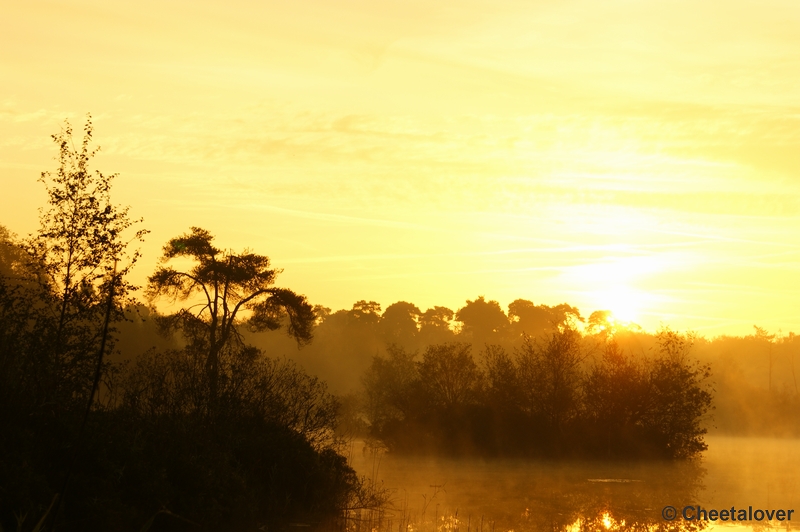 _DSC0066.JPG - Zonsopkomst aan de Oisterwijkse Vennen 'het Groot Goorven' 24 september 2011