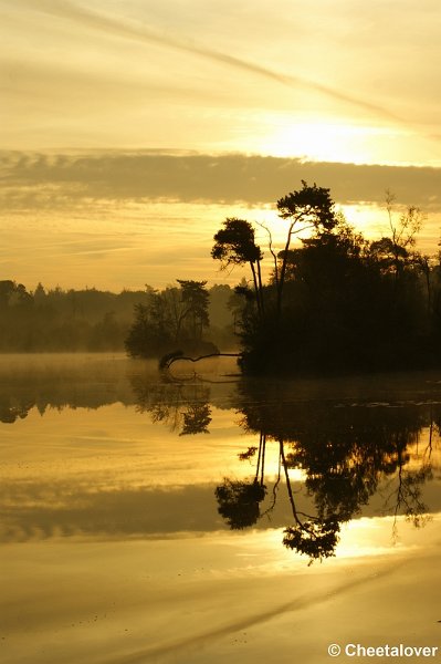 _DSC0121.JPG - Zonsopkomst aan de Oisterwijkse Vennen 'het Groot Goorven' 24 september 2011