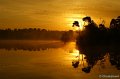_DSC0088