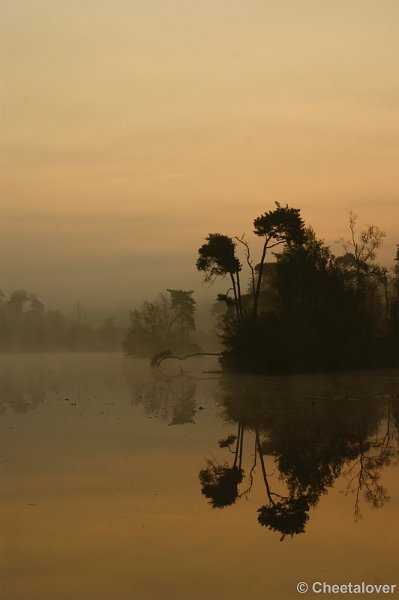 _DSC0013.JPG - Zonsopkomst aan de Oisterwijkse Vennen 'het Groot Goorven' 2 oktober 2011