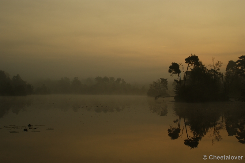 _DSC0014.JPG - Zonsopkomst aan de Oisterwijkse Vennen 'het Groot Goorven' 2 oktober 2011