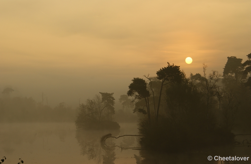 _DSC0026.JPG - Zonsopkomst aan de Oisterwijkse Vennen 'het Groot Goorven' 2 oktober 2011