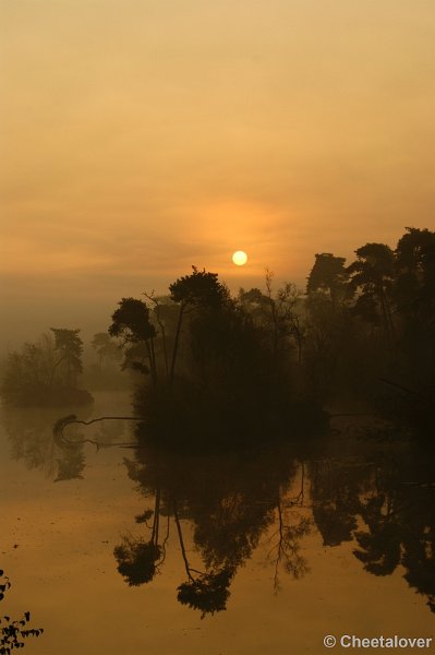 _DSC0029.JPG - Zonsopkomst aan de Oisterwijkse Vennen 'het Groot Goorven' 2 oktober 2011