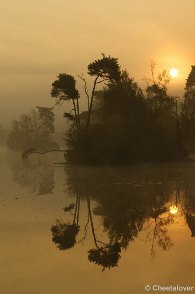 _DSC0037.JPG - Zonsopkomst aan de Oisterwijkse Vennen 'het Groot Goorven' 2 oktober 2011