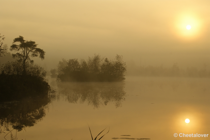 _DSC0048.JPG - Zonsopkomst aan de Oisterwijkse Vennen 'het Groot Goorven' 2 oktober 2011