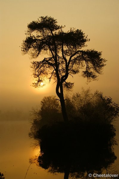 _DSC0055.JPG - Zonsopkomst aan de Oisterwijkse Vennen 'het Groot Goorven' 2 oktober 2011