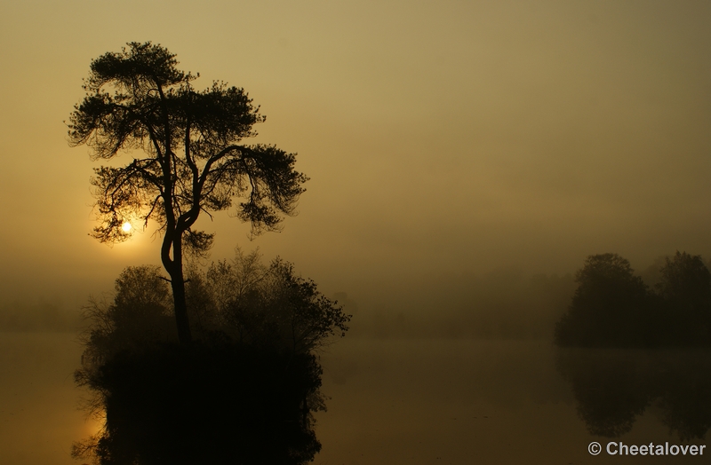 _DSC0060.JPG - Zonsopkomst aan de Oisterwijkse Vennen 'het Groot Goorven' 2 oktober 2011