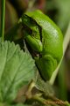 _DSC0256