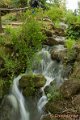 _DSC0310