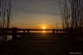 _DSC7239