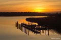 _DSC7263