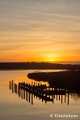 _DSC7264