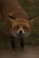 sized__DSC8974
