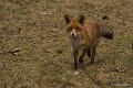 sized__DSC9052