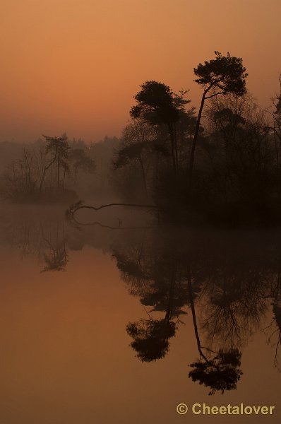 _DSC8759.JPG - Zonsopkomst, Oisterwijkse Vennen en Plassen