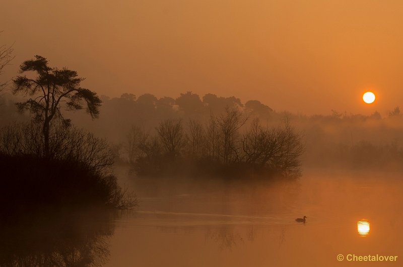 _DSC8780.JPG - Zonsopkomst, Oisterwijkse Vennen en Plassen