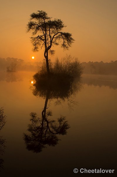 _DSC8786.JPG - Zonsopkomst, Oisterwijkse Vennen en Plassen