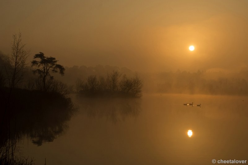 _DSC8807.JPG - Zonsopkomst, Oisterwijkse Vennen en Plassen