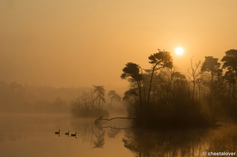 _DSC8813.JPG - Zonsopkomst, Oisterwijkse Vennen en Plassen