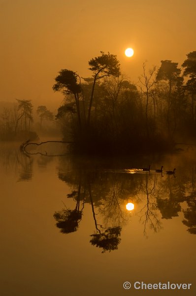 _DSC8816.JPG - Zonsopkomst, Oisterwijkse Vennen en Plassen