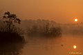 _DSC8780