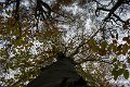_DSC0785
