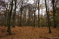 _DSC0808