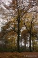 _DSC0858
