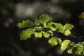 _DSC8757