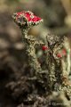 _DSC7159