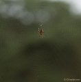 _DSC7179