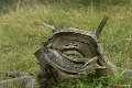 _DSC7191