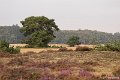 _DSC7205