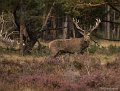 _DSC7220