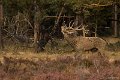 _DSC7269