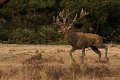 _DSC7430