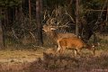 _DSC7436