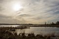 _DSC2081