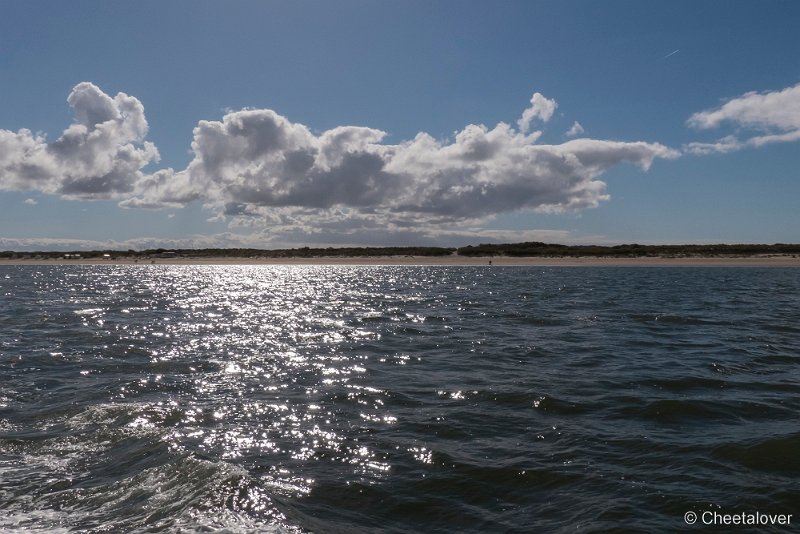 P1220830.JPG - Texel
