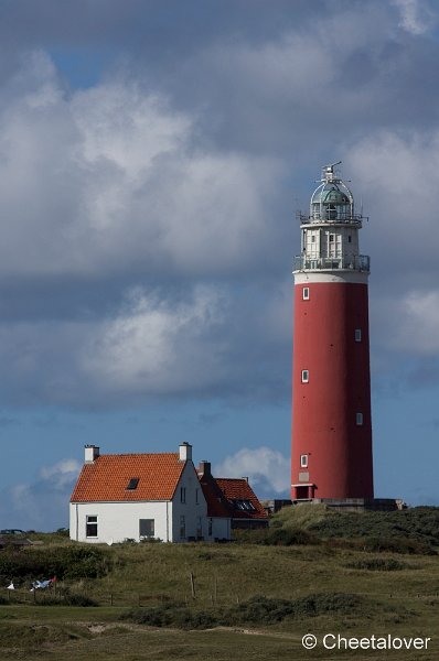 _DSC0886.JPG - Texel