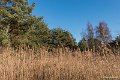 P1260622