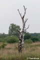 P1280315