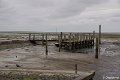 _DSC0018