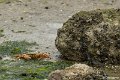 _DSC0055