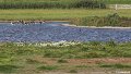_DSC0066