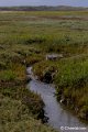 _DSC0067