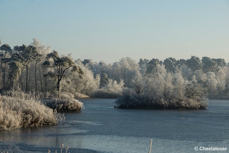 _DSC0010.JPG - Oisterwijkse Vennen en Plassen
