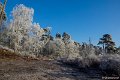_DSC0017
