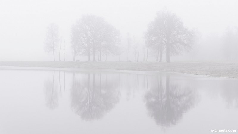 _DSC0006.JPG - Boswachterij Dorst